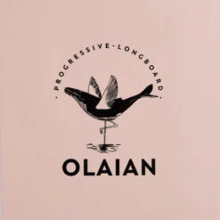 LONGBOARD 900 9'4" 74 L . Livré Avec 1 Aileron 10". -Kitesurf Boutique longboard 900 94 74 l livre avec 1 aileron 10 6